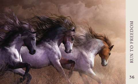 Horse Wisdom Oracle Cards 44-Card Deck & Guidebook by Kathy Pike Blue Angel
