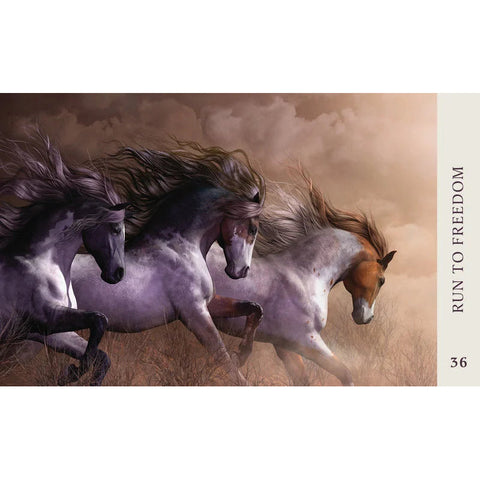 Horse Wisdom Oracle Cards 44-Card Deck & Guidebook by Kathy Pike Blue Angel