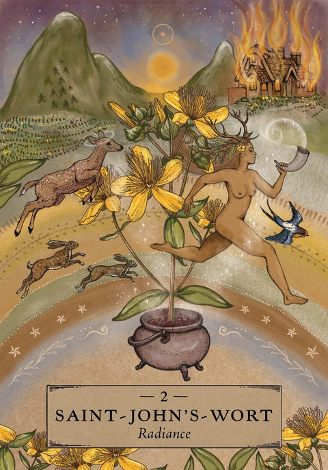 The Herbal Astrology Pocket Oracle Deck And Guidebook Hay House Hh162