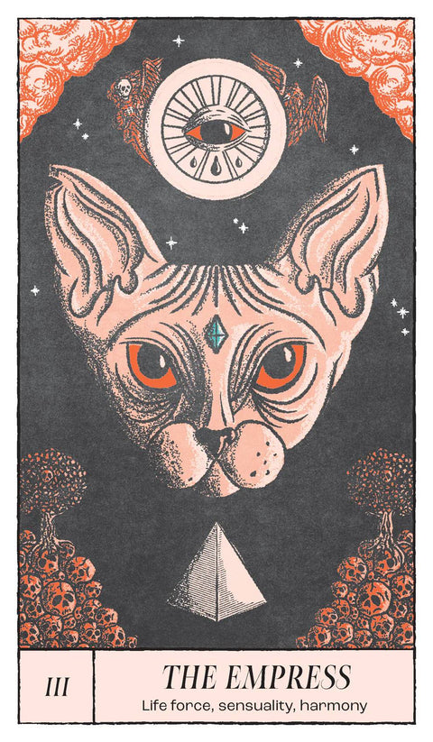 Crossed Destinies Tarot Deck 78-Card Marseille Style + Guidebook Rockpool