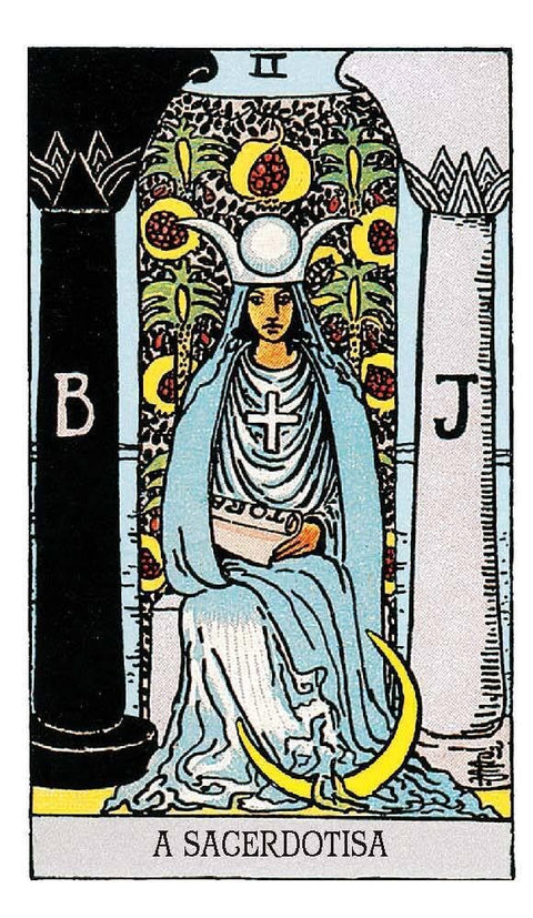 Tarot de A.E. Waite Cards Premium standard Portugues Edition AGM