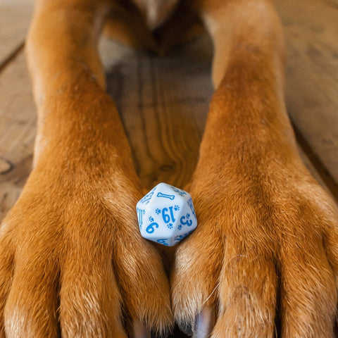 Dogs Dice Set: Max Modern Blue Dog Lovers Role Playing Games Q-Workshop NEW