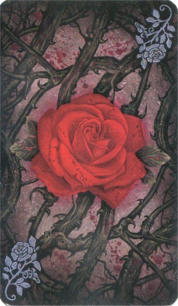 The Tarot Of Vampyres Tarot Cards Deck Esoteric Ian Daniels Llewellyn NEW