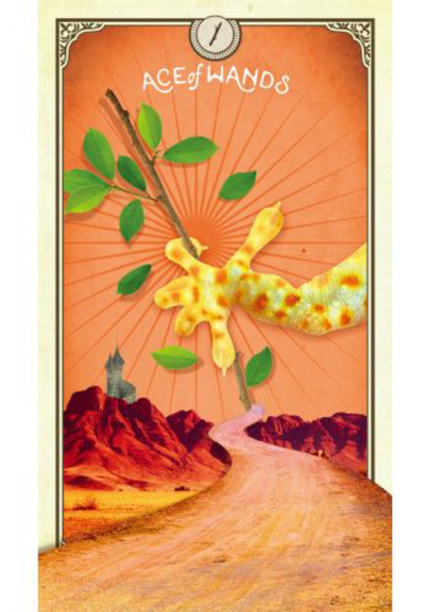 The Tarot Of Curious Creatures Card Deck & Guidebook Chris-Anne