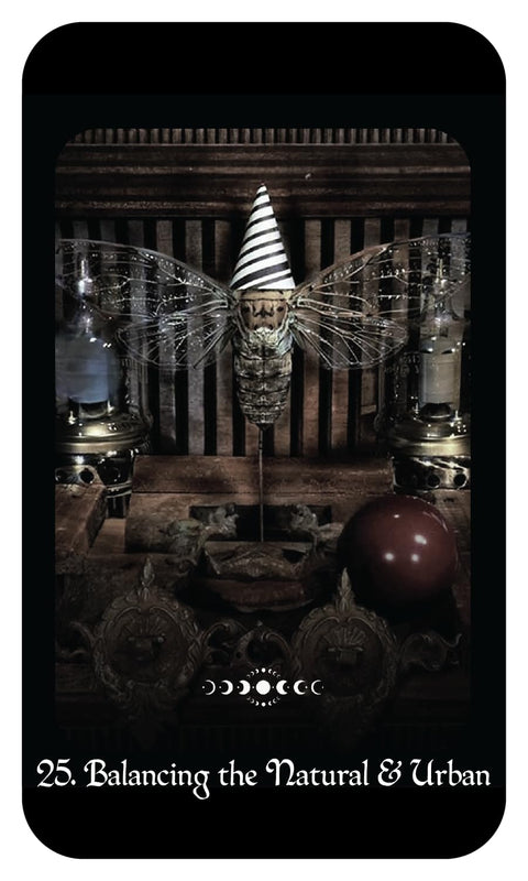 Gothic Witch's Oracle Cards Deck & Guidebook by Raven Digitalis