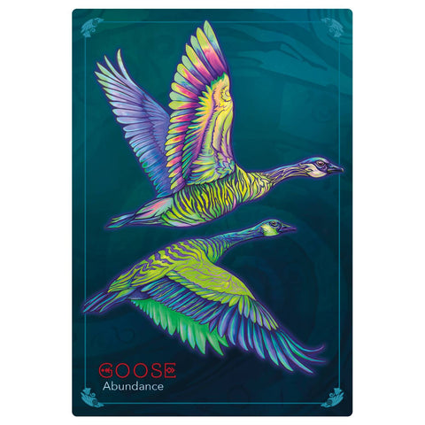 Echoes of the Wild Souls Animal Oracle Cards Deck w/ Guidebook 34 Cards Cartamundi