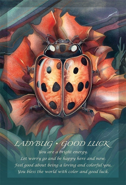 Spirit of the Animals Oracle Card Deck by Jody Bergsma US Games
