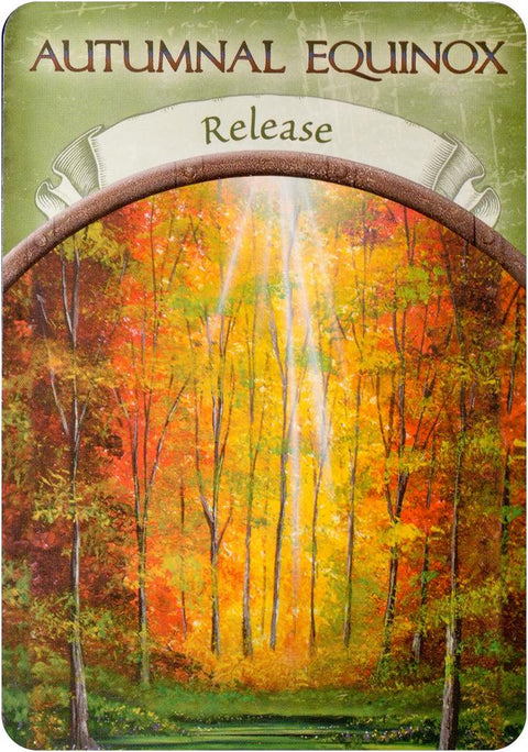 Earth Magic Oracle Cards Deck And Guidebook  By Steven D. Farmer