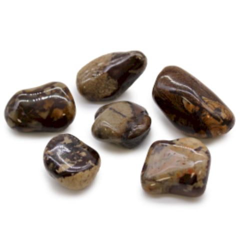 Large African Tumble Stones (6X) - Jasper Nguni - Brecciated Ancient Wisdom NEW
