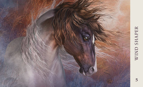 Horse Wisdom Oracle Cards 44-Card Deck & Guidebook by Kathy Pike Blue Angel