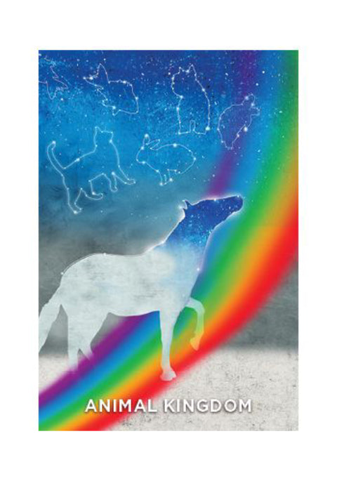 The Mediumship Training Cards Deck Holland & Rainbow Developing Hay House NEW