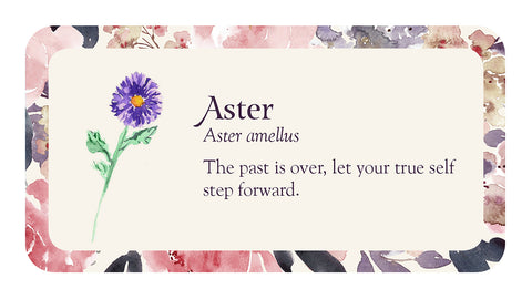 Flower Petals 40-Card Inspirational Mini Oracle Deck by US Games