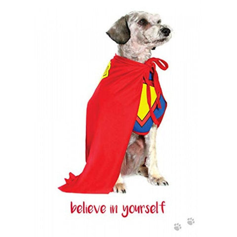 Dog Wisdom Deck Cards Esoteric Fortune Telling Blue Angel NEW