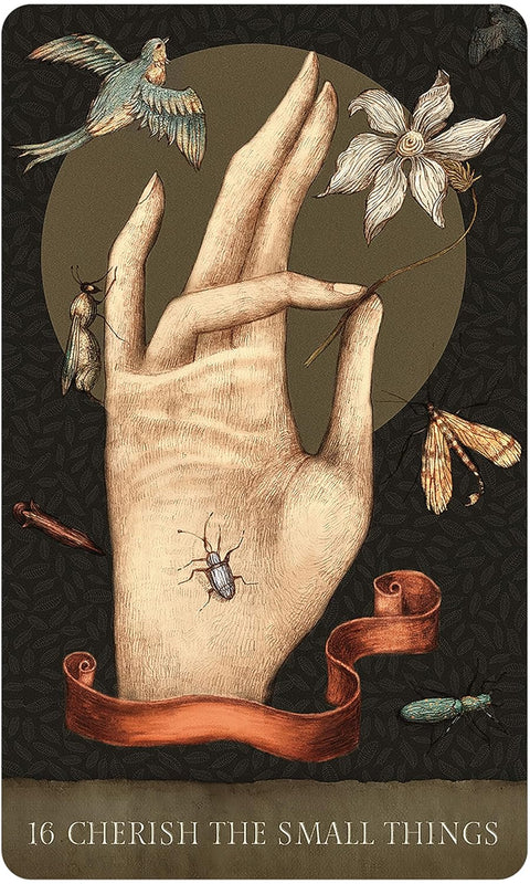 Dream Song Oracle US Games Systems