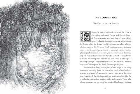 Robin Hood Sherwood Oracle Card Deck by Sterling Ethos with Guidebook