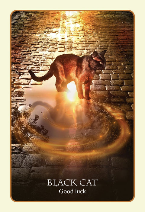 Divination of the Ancients Oracle Tarot 45 Card Deck Blue Angel New