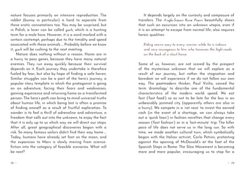 Animal Guide Rune Cards Blue Angel