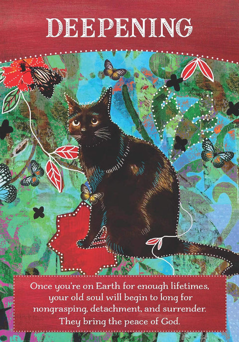 Divine Abundance Oracle Cards Deck By Tosha Silver Divine Source