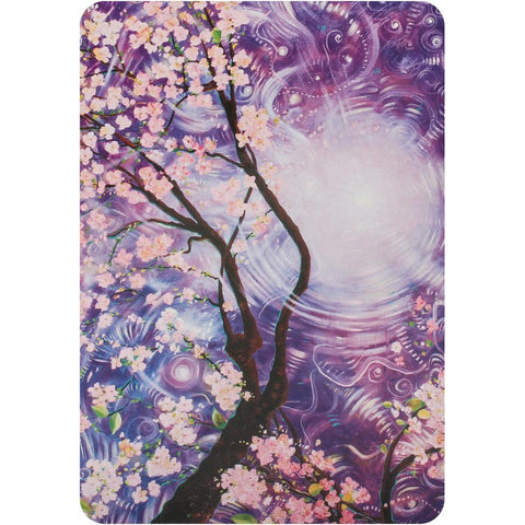 Namaste Blessing & Divination Oracle Cards Deck by Toni Carmine Salerno