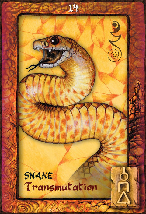 Animal Dreaming Oracle Deck Cards Esoteric Fortune Telling Blue Angel NEW