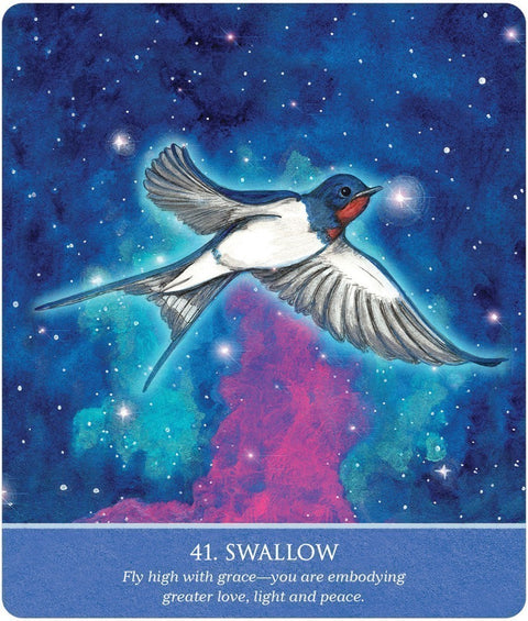Auspicious Symbols Oracle Deck & Guidebook for Luck, Healing | US Games