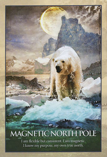 Earth Power Oracle Deck by Blue Angel 41 Sacred Places Divination Cards