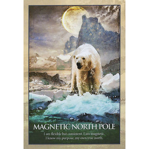Earth Power Oracle Deck by Blue Angel 41 Sacred Places Divination Cards