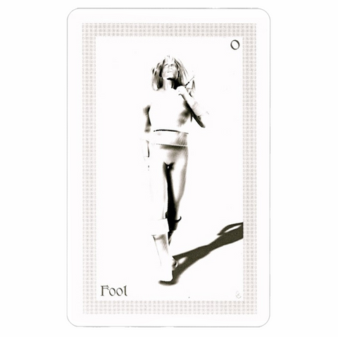 Shadowfox Tarot Cards Deck And Books Schiffer Publishing Richard & Jennifer NEW