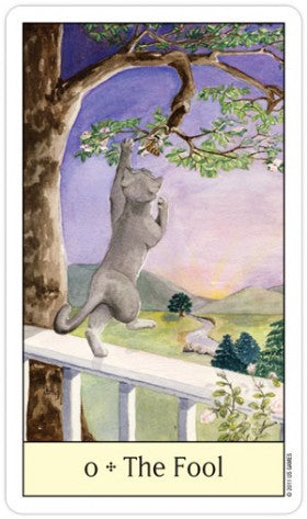 Cats Eye Tarot Deck Cards Esoteric Telling Cute US Games Systems NEW