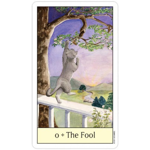Cat's Eye Tarot Card Deck by US Games, 78 Cards with Guidebook