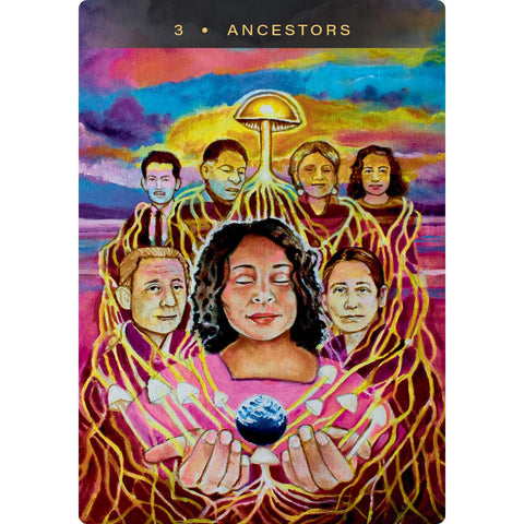 Sacred Mushroom Oracle Cards 44-Card Deck & Guidebook by Hay House