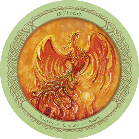 Enchanted Wheel of the Year Oracle Deck 45 Round Cards & Guidebook