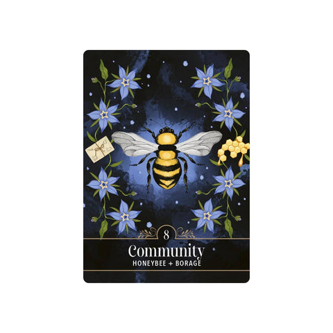 The Familiar Magic Pocket Oracle Cards Deck Hay House