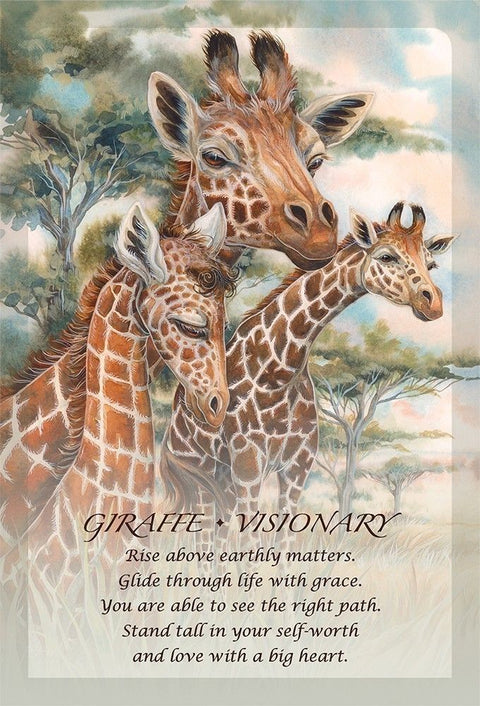 Spirit of the Animals Oracle Card Deck by Jody Bergsma US Games