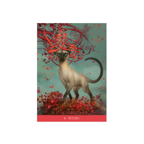 Barbieri Fantasy Cat Oracle Deck 23 Cards Lo Scarabeo Divination Set