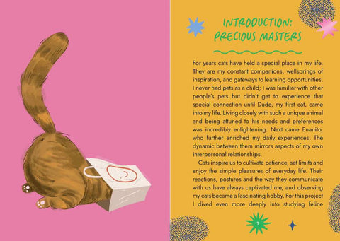 Cat Wisdom Oracle Cards Deck 45-Card Set with Guidebook by Rockpool Publishing