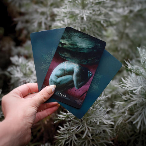 Divine Masculine Healing Oracle Cards 44-Card Deck & Guidebook Blue Angel