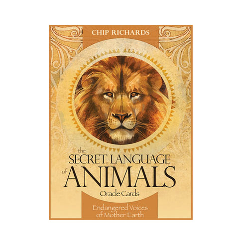 The Secret Language Of Animals Oracle Deck Cards Telling Blue Angel NEW
