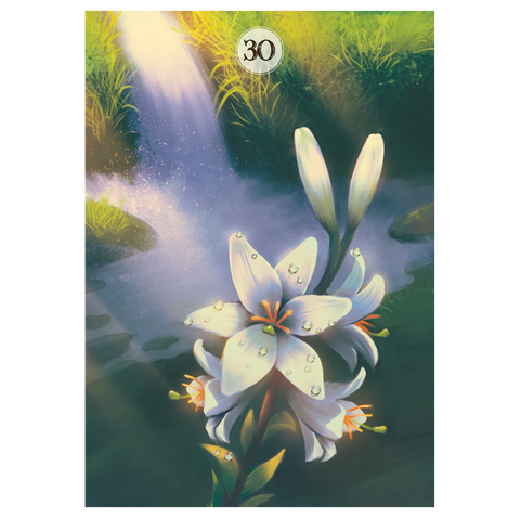 Herbs & Plants Lenormand Oracle Deck by Lo Scarabeo Tarot Cards
