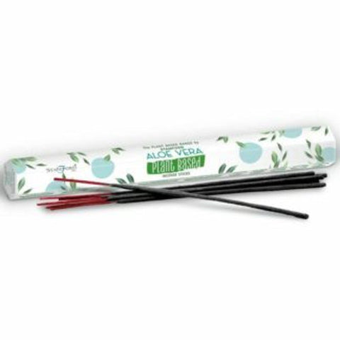 20x Aloe Vera Incense Sticks Stamford Premium Plant Based Vegan Long Lasting