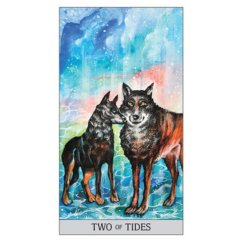 Japaridze Tarot Cards Deck & Guidebook Set by Nino Japaridze US Games