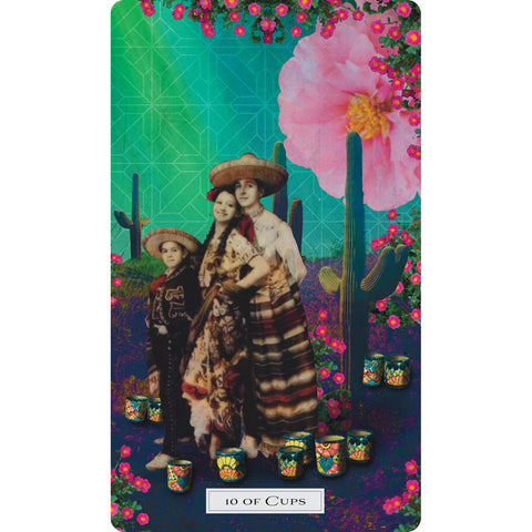 Tarot of the Cosmic Seed Deck 79 Cards & Guidebook by Weiser Books