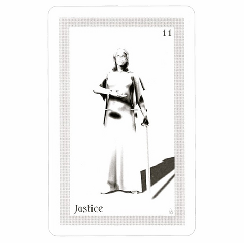 Shadowfox Tarot Cards Deck And Books Schiffer Publishing Richard & Jennifer NEW