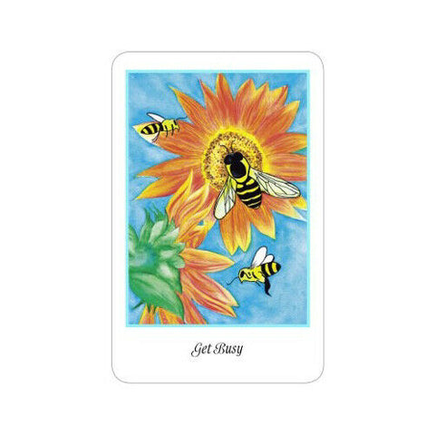 Higher Intuitions Oracle Cards Deck Schiffer Publishing Robinett Bowman NEW