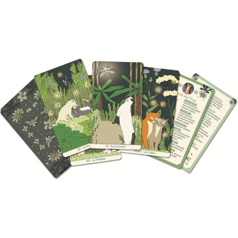 Les Oracles de la Sorcière Oracle cards French edition Grimaud Cartomancie
