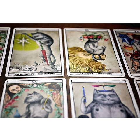 Tarot Cats Card Deck by Fournier – Cat Lovers Divination Fortune Telling