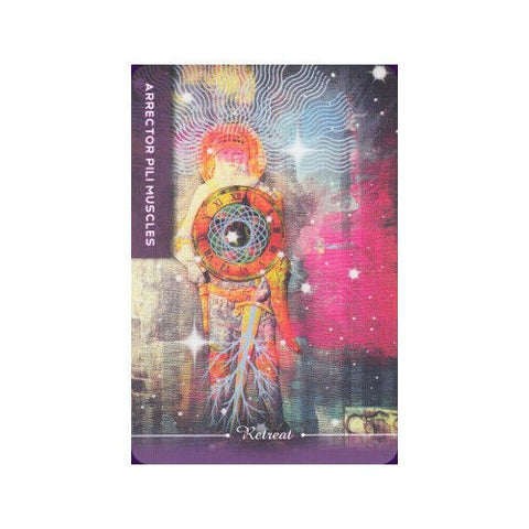 Body Cards Deck Book Set Esoteric Courtney Putnam Schiffer Publishing Sp065