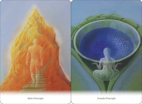 Body Healing Cards Deck Findhorn Press Esoteric Ewald Kliegel Awareness