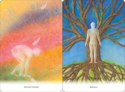 Body Healing Cards Deck Findhorn Press Esoteric Ewald Kliegel Awareness