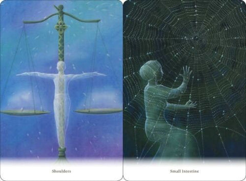 Body Healing Cards Deck Findhorn Press Esoteric Ewald Kliegel Awareness